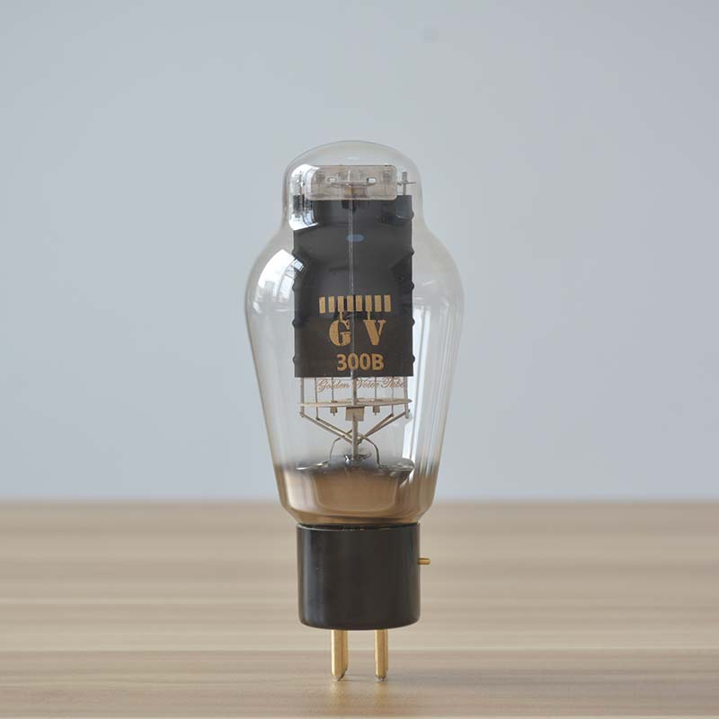 Golden Voice GV 300B